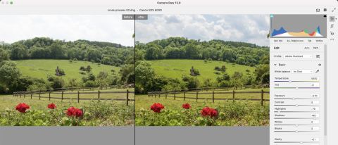 editing adobe photoshop elements 14 activation key 1 pc for windows pc and mac